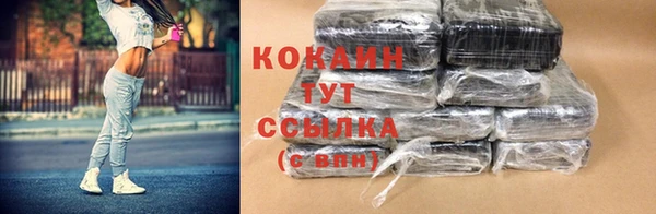 тгк Абаза