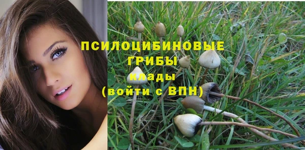 2c-b Абинск