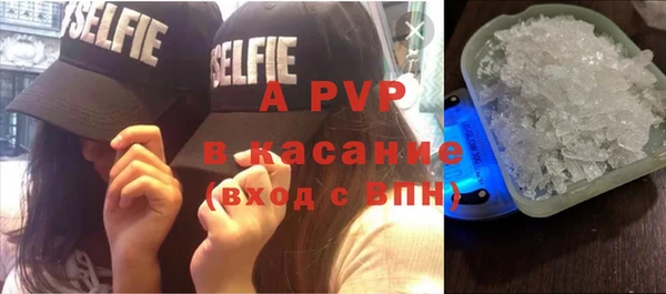 тгк Абаза