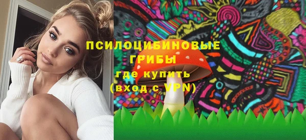тгк Абаза