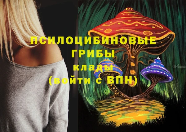 мдпв Алзамай