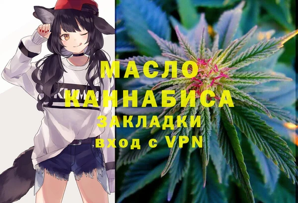 тгк Абаза