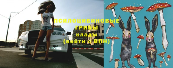 кокс Алексин