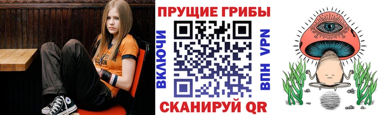 Галлюциногенные грибы ЛСД Керчь