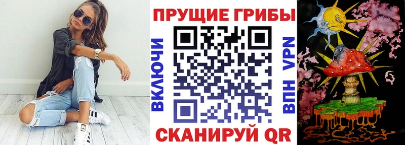 купить наркоту Керчь Галлюциногенные грибы Cubensis